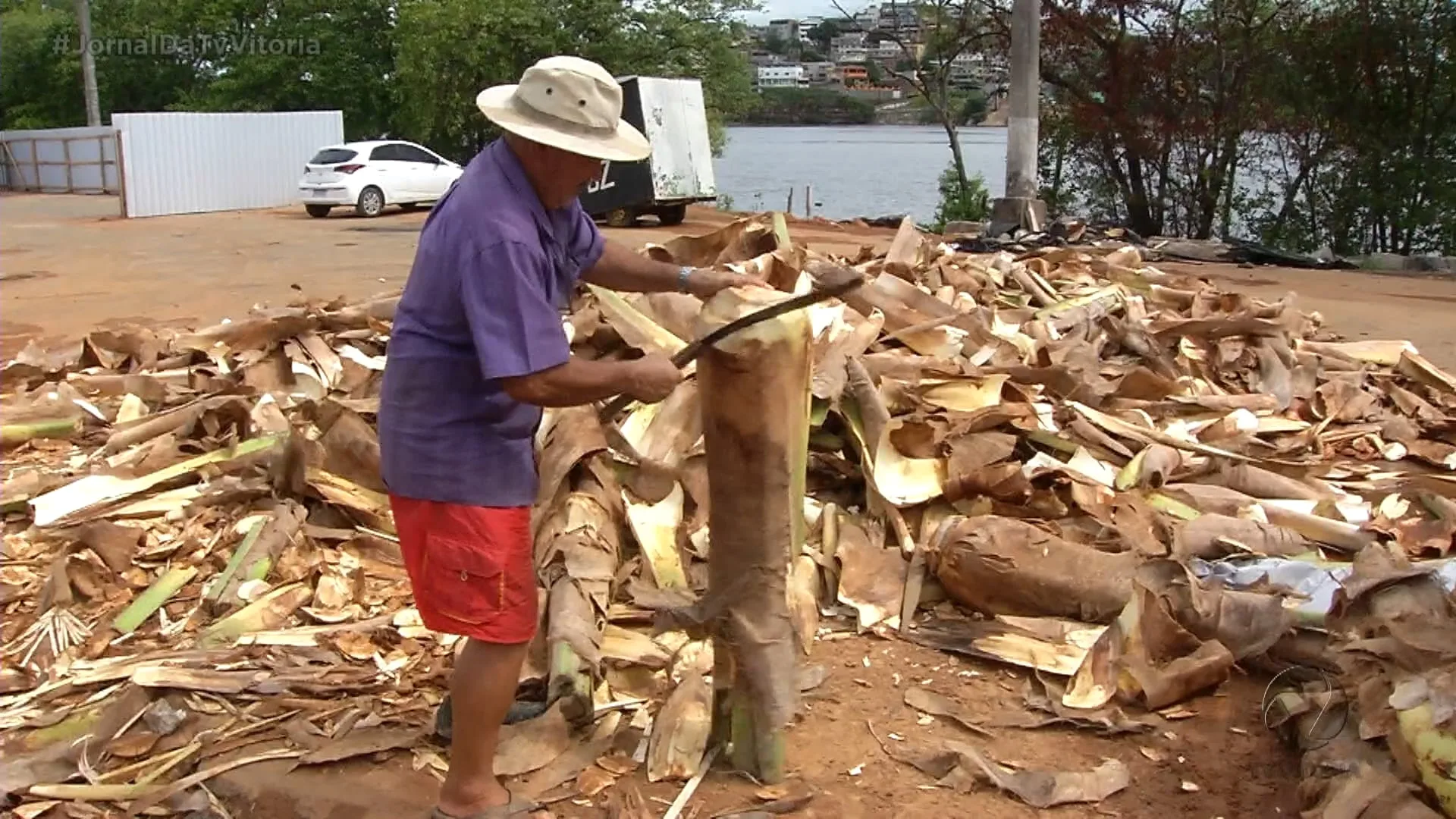 Dia de muito movimento nos pontos de venda de palmito e nas peixarias