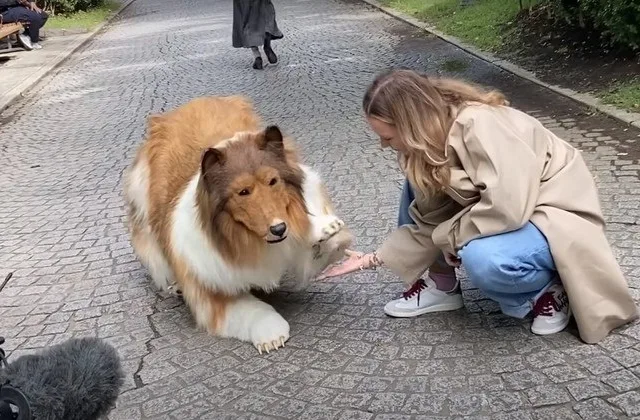 Japonês que "virou cachorro" com fantasia de R$ 70 mil faz revelação: "Antes e depois"