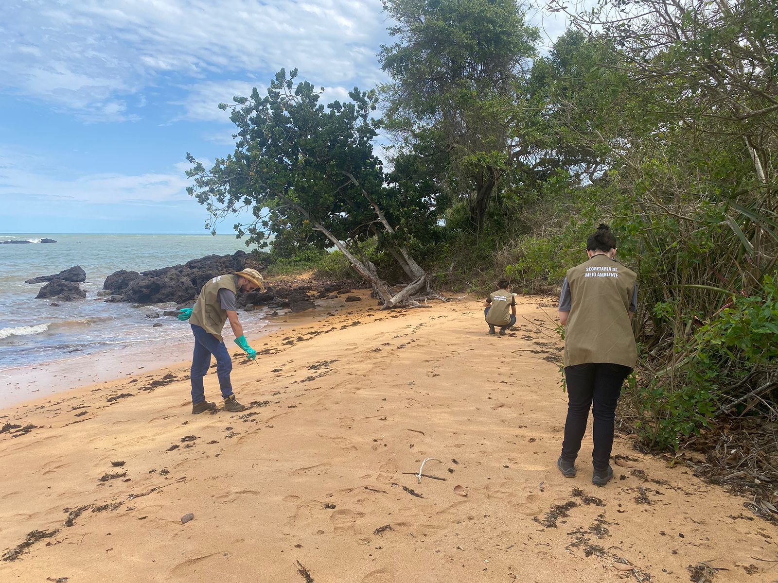 Secretaria de Meio Ambiente confirma recolhimento de óleo de praias de Aracruz e Linhares