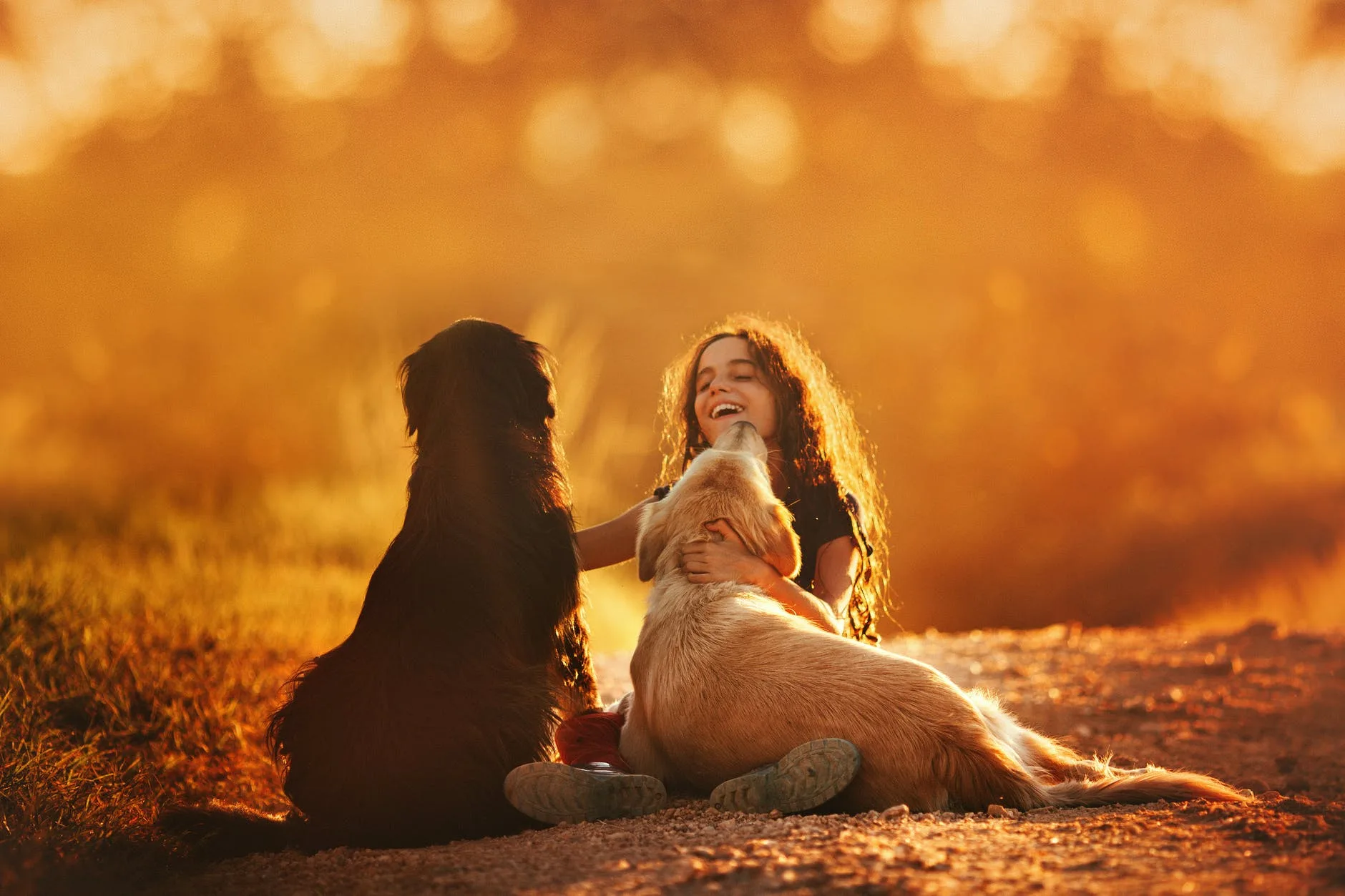 Interação entre crianças e Pets: uma ligação benéfica durante a infância