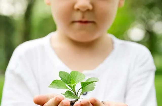 Dia Mundial do Meio Ambiente pede Reflexão e Atitudes!