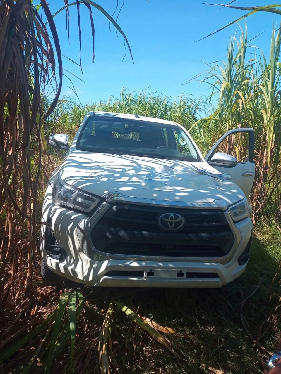 Caminhonete furtada durante a madrugada em Vila Velha é recuperada em matagal de Viana