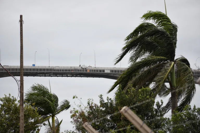 Foto: Thiago Soares/Folha Vitória