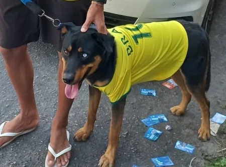 Eleições 2022: de cachorro a família supersticiosa; veja os casos curiosos durante a votação