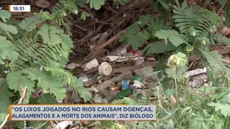 Os lixos jogados nos rios causam doenças, alagamentos e mortes dos animais