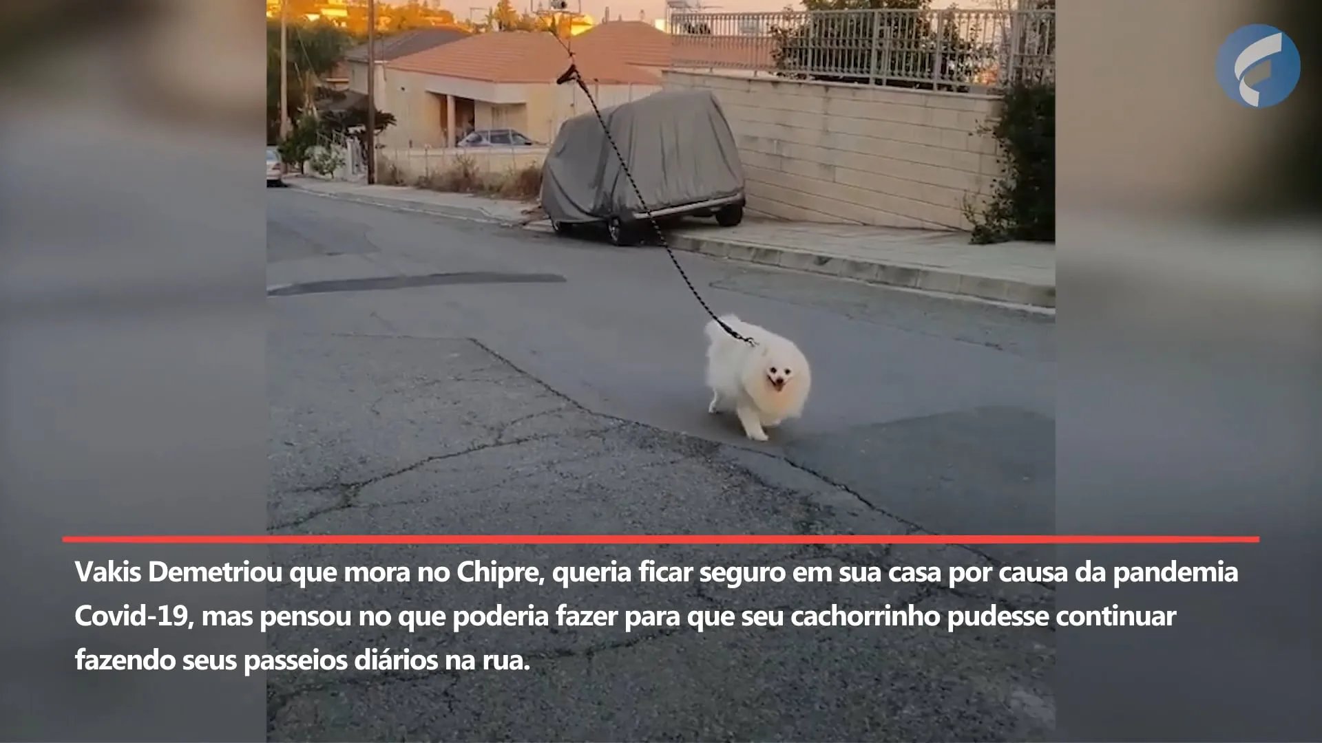 Para não sair de casa, homem 'leva' cachorro para passear com um drone