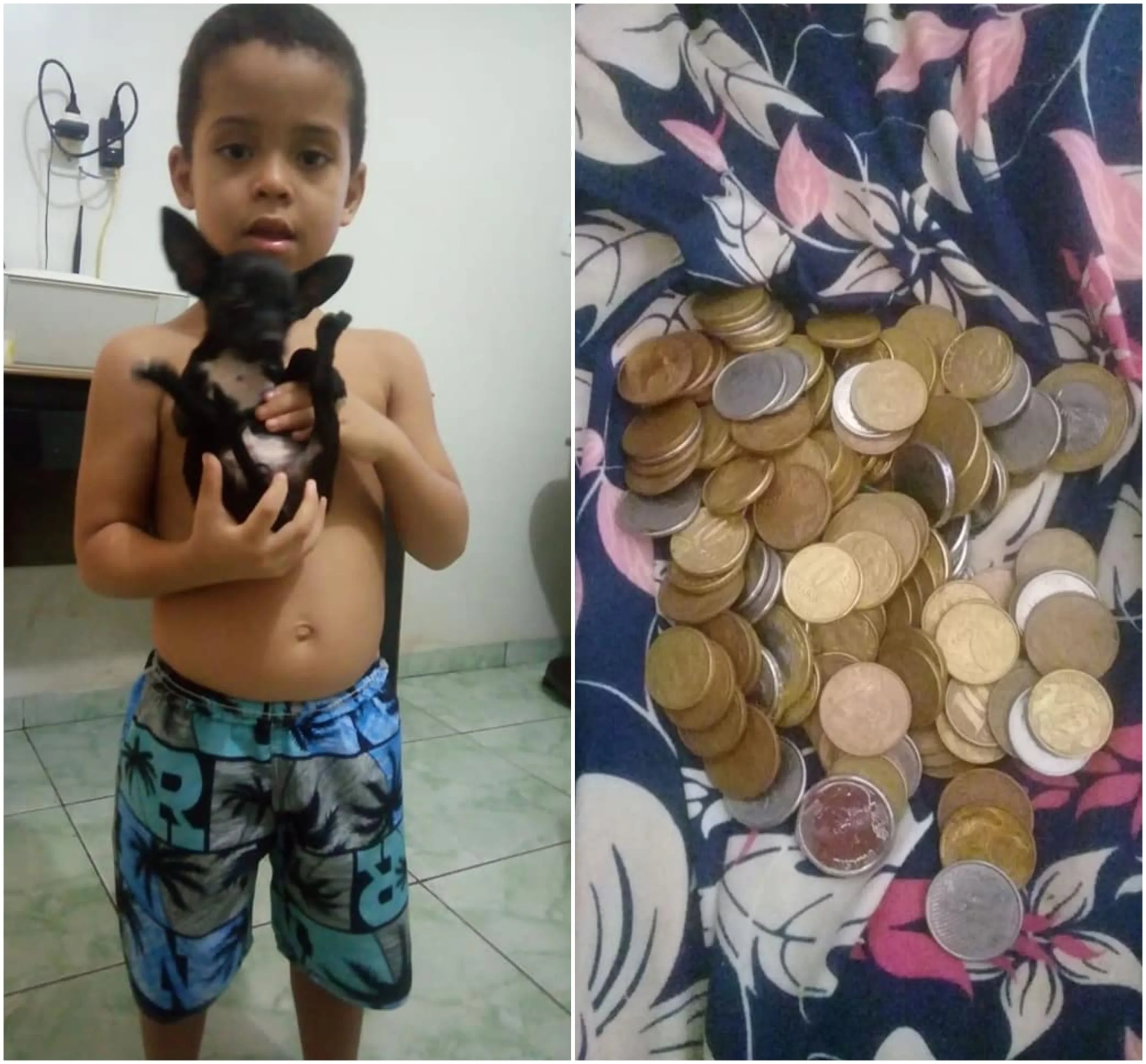 Menino de quatro anos oferece R$ 18 em moedas para quem encontrar cachorro