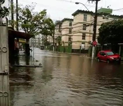 Moradora recolhe placas de veículos perdidas após alagamentos em Vila Velha