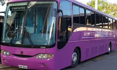 Ônibus Rosa atende mulheres vítimas de violência doméstica na Grande Vitória