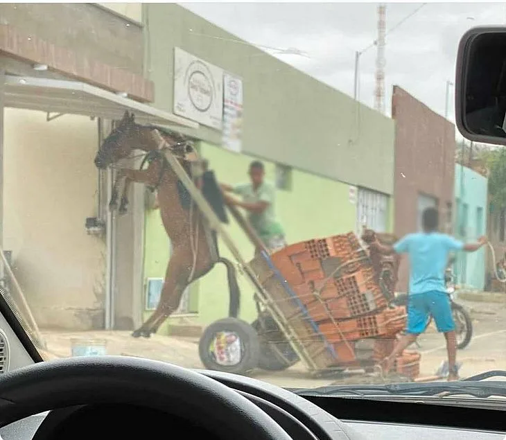 Burro fica suspenso por conta de excesso de peso em carroça