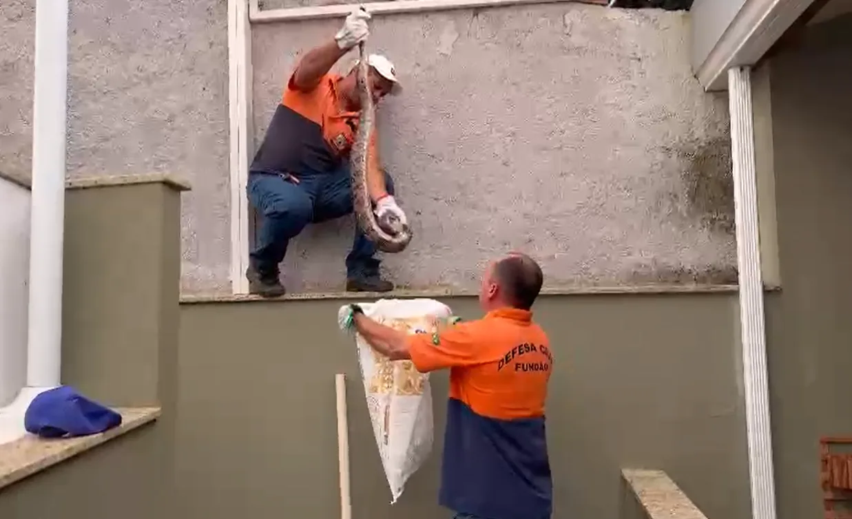 VÍDEO I Cobra surge em telhado de igreja e assusta fieis em Fundão