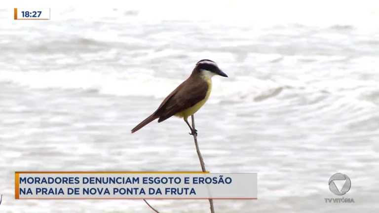 Moradores denunciam esgoto e erosão na praia de Nova Ponta da Fruta
