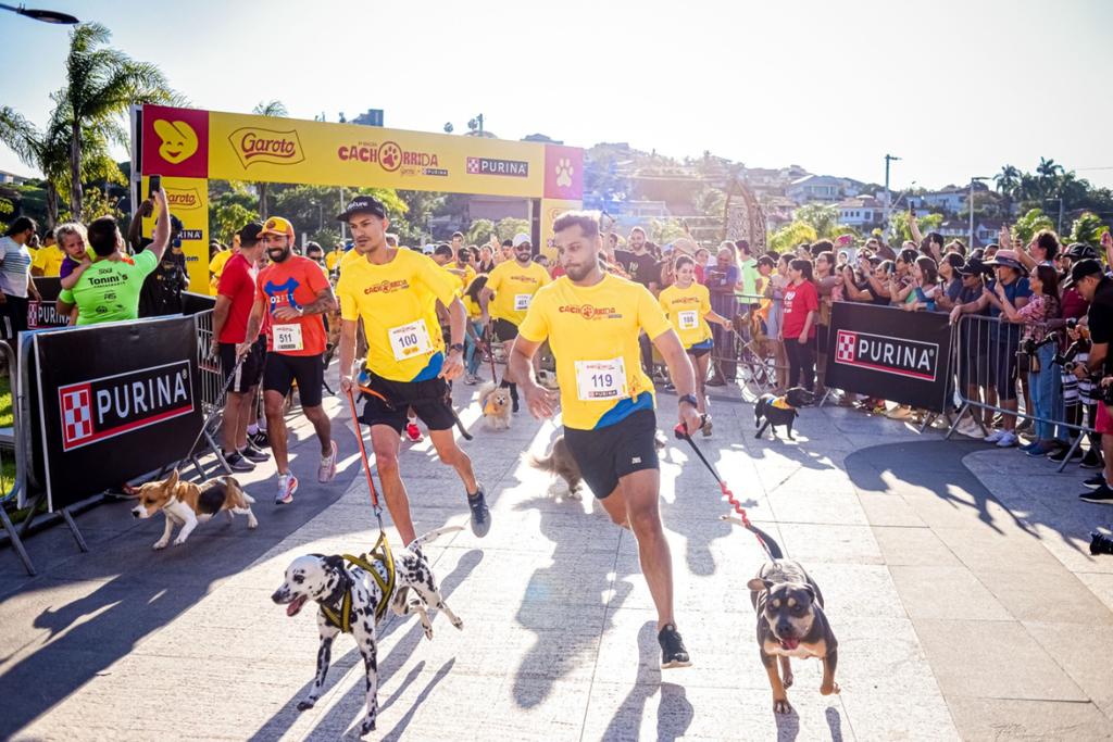 Corre com seu pet? Confira os cuidados necessários para a atividade