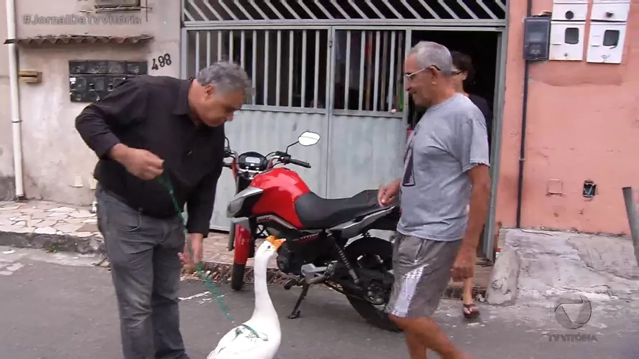 Conheça o Adilson e os lindos animais de estimação dele