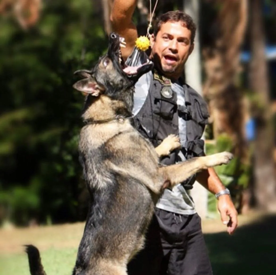 Coronel Merigueti, o pioneiro no treinamento de cães para os bombeiros do ES