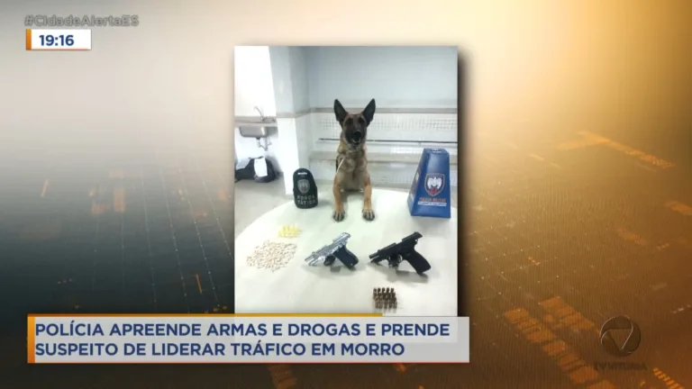 Polícia apreende armas e drogas