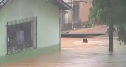 VÍDEO | Duas pessoas e um cachorro são resgatados após casa ser tomada por água em Fundão