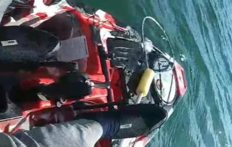 VÍDEO | Homem flagra tartarugas presas em rede de pesca em praia de Guarapari