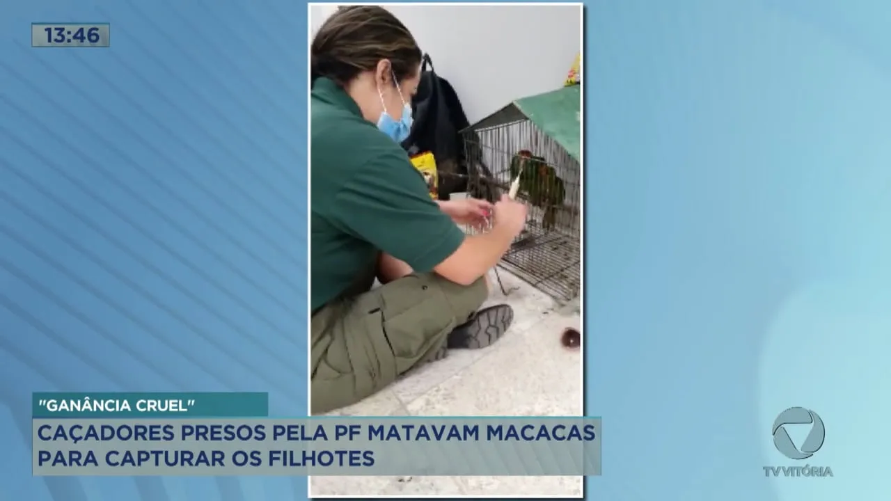 Polícia Federal prende traficantes de animais silvestres