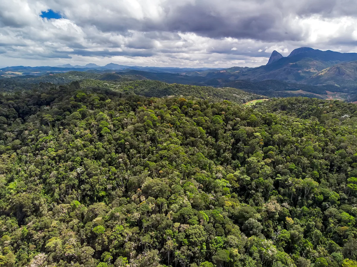 Licenciamento ambiental: nova regra no ES permite que empresa irregular não seja fechada