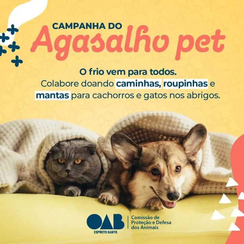 Foto: Reprodução / OAB-ES