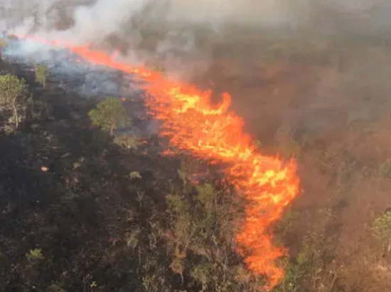 Fogo consome 13% do Parque da Chapada dos Guimarães e fecha pontos turísticos