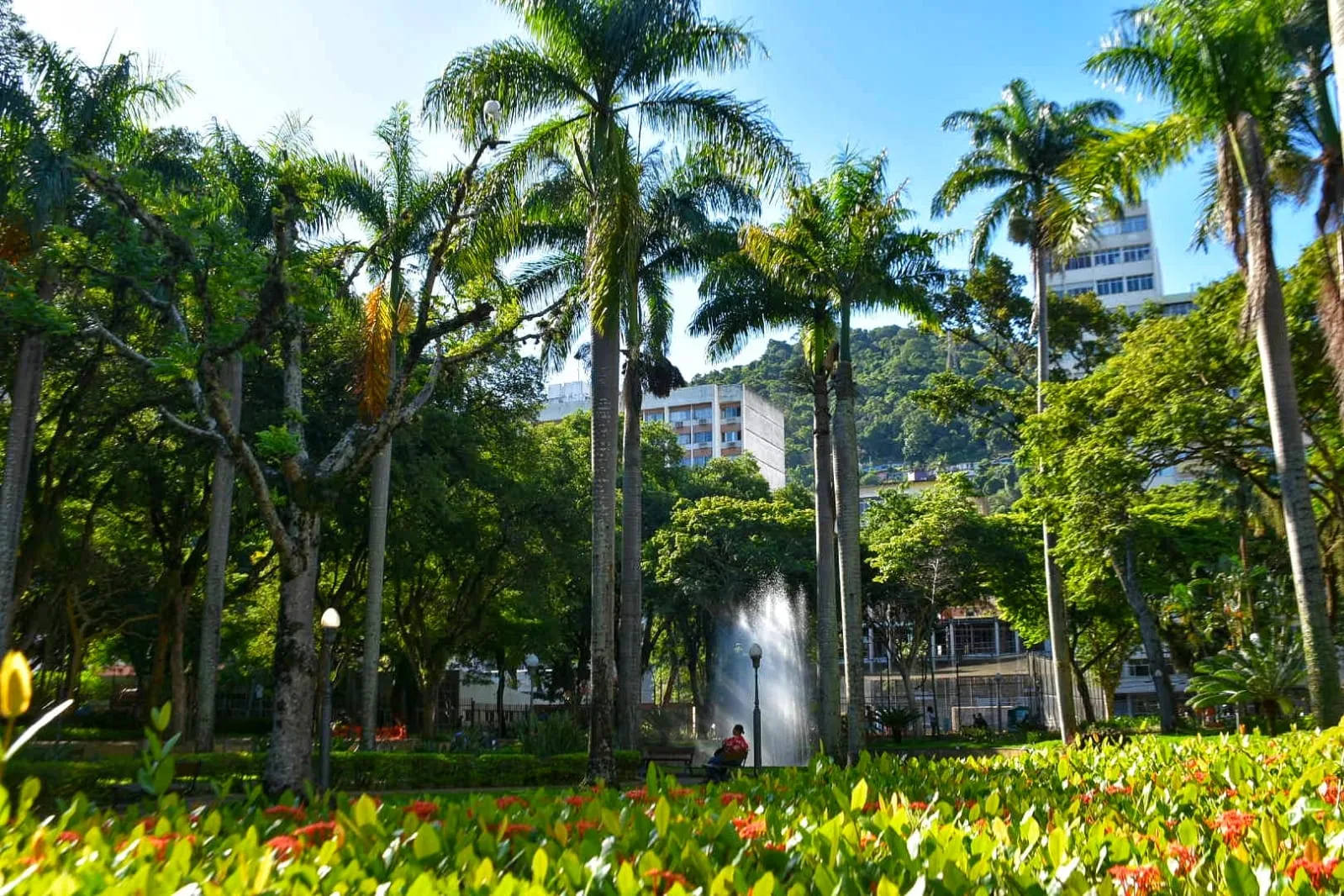 Parque Moscoso celebra 111 anos com programação especial em Vitória