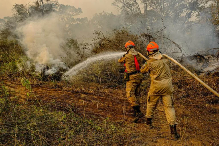 Inscrições para curso de brigadistas terminam nesta sexta-feira