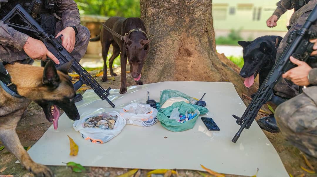 Polícia Militar apreende drogas durante treinamento com cães farejadores em Vitória