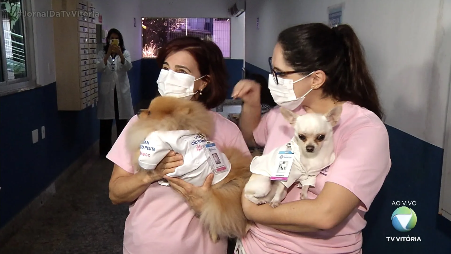 Cães ajudam na recuperação de pacientes de um hospital em Vitória