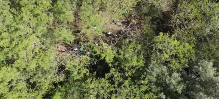 ES tem uma das maiores áreas de mangue do Brasil e como forma de alerta alunos limpam manguezais