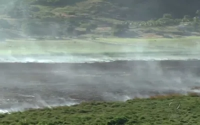 Tio e sobrinho detidos após colocar fogo em área de turfa na Serra