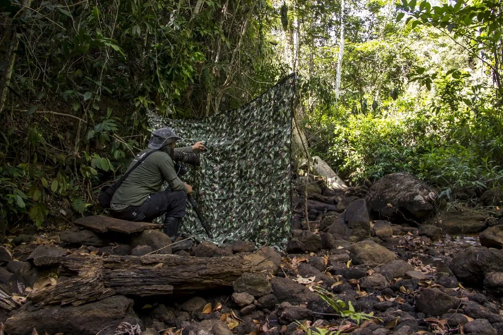 Esconderijo camuflado na Reserva Biológica de Sooretama, preparado para fotografar aves em seu habitat natural. Cena do making of do livro 'Últimos Refúgios'