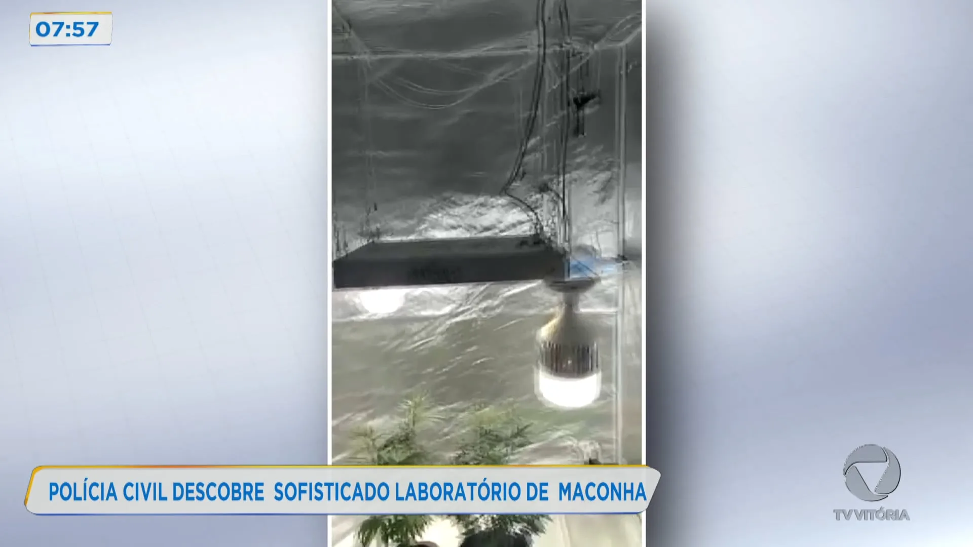 Polícia civil descobre sofisticado laboratório de maconha