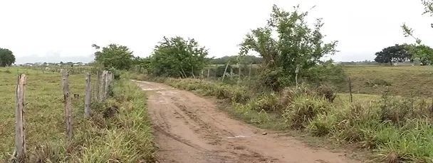 Corpo é encontrado em área de desova em bairro da Serra