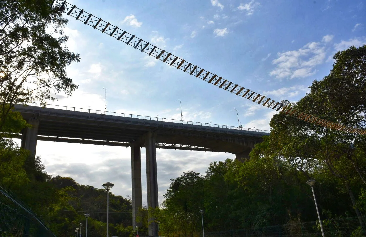 Pontes são instaladas em Vila Velha após mortes de macacos