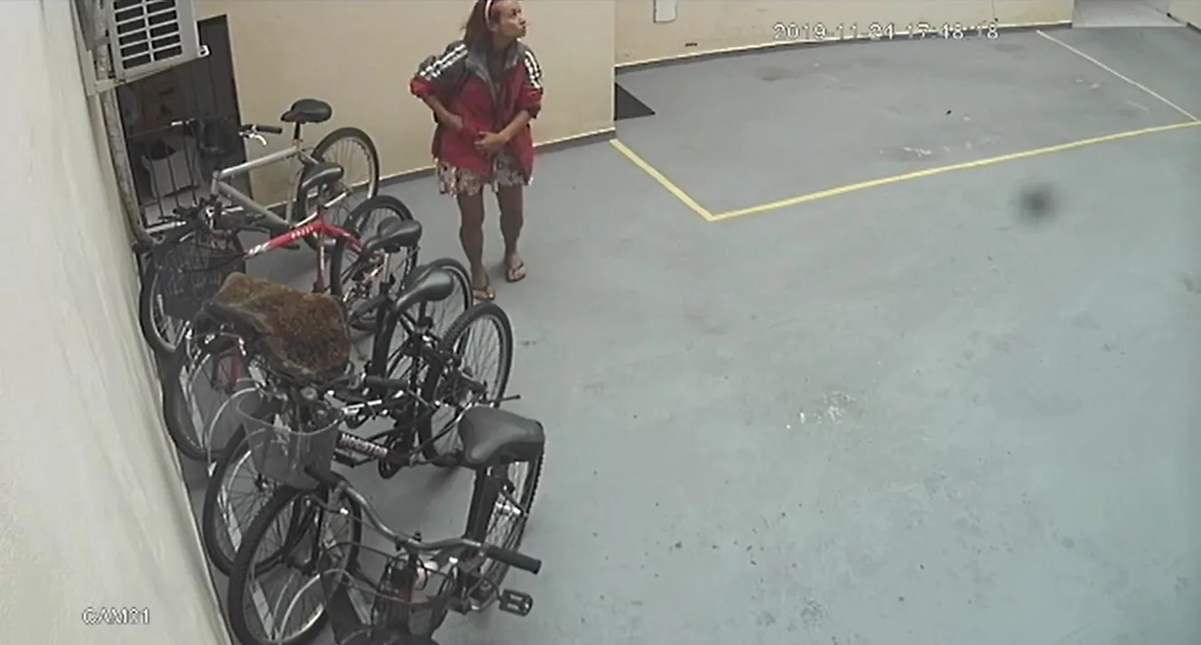 VÍDEO | Mulher invade prédio dois dias seguidos, rouba três bicicletas e ferramentas em VV