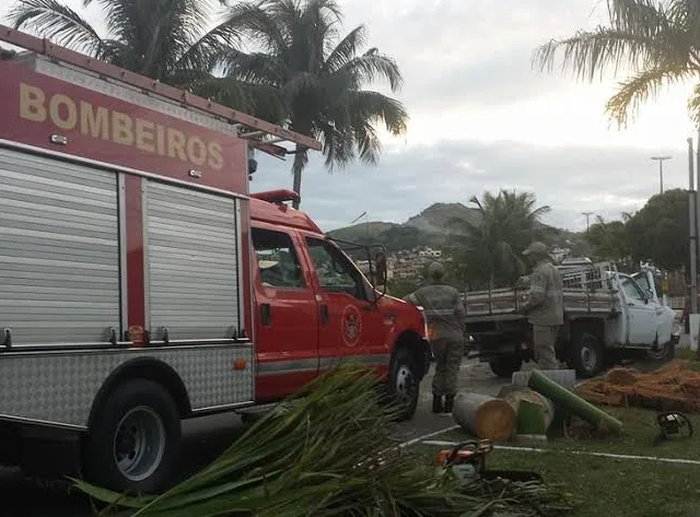 Motorista perde controle de caminhonete e derruba árvores na Beira-Mar