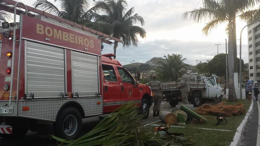 Motorista perde controle de caminhonete e derruba árvores na Beira-Mar