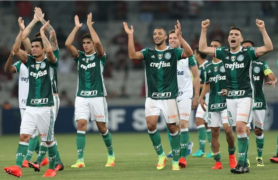 'O Palmeiras aprendeu a não desistir', diz técnico após vitória com gol aos 54min