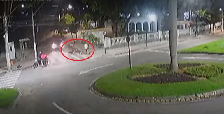 Pitbulls atacam cadela e dona fica desesperada em Vitória; veja vídeo