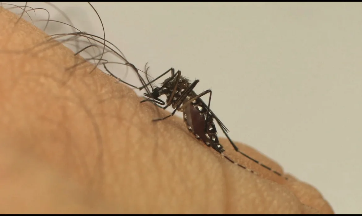 Saúde lança campanha após aumento da dengue, Zika e chikungunya