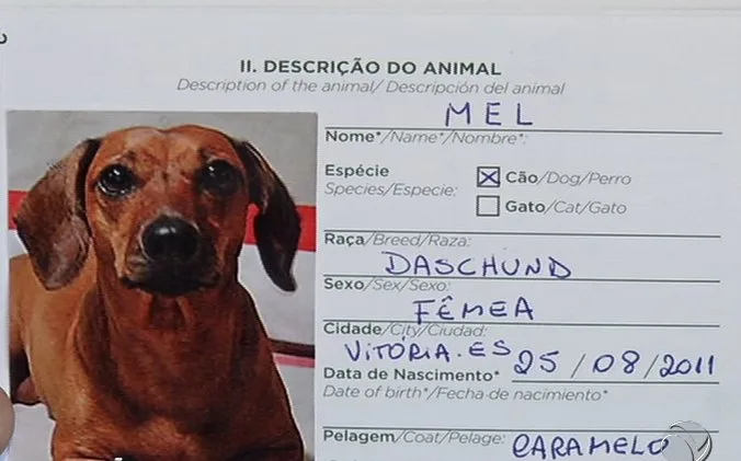 Espírito Santo é o primeiro a emitir "passaporte" para animais