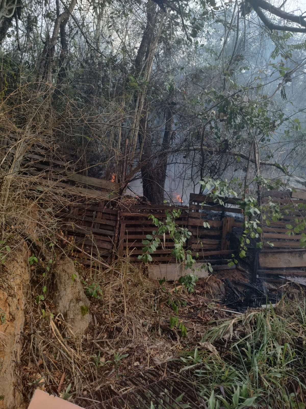 VÍDEO | Incêndio em mata se aproxima de casas e assusta moradores de Vitória