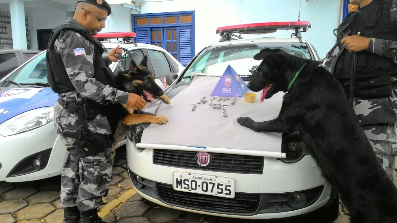 Operação de combate ao tráfico conta com 60 policiais em Guaçuí