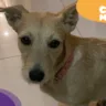 Foto: Reprodução/Arquivo Pessoal