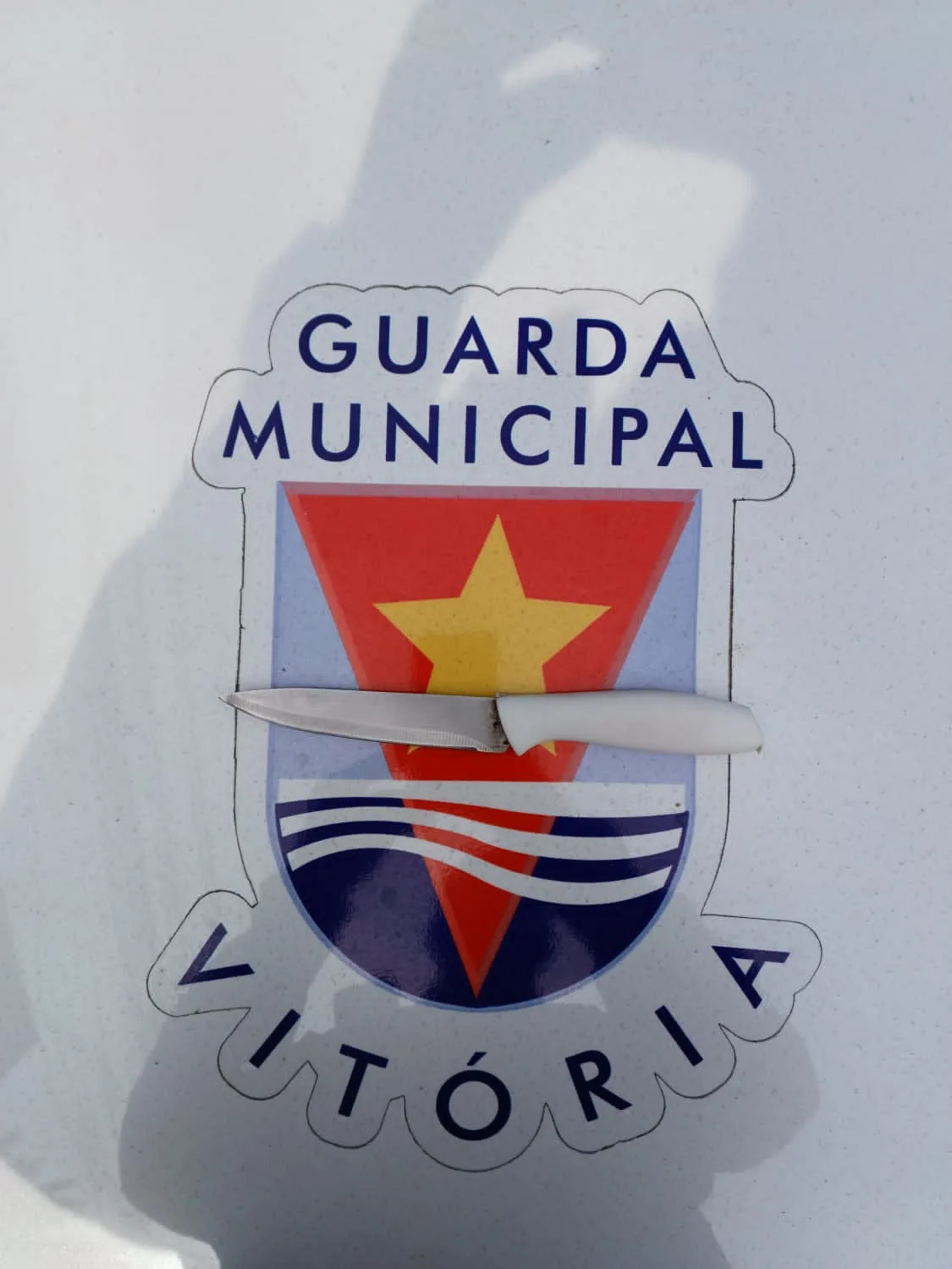 Foto: Guarda Municipal de Vitória