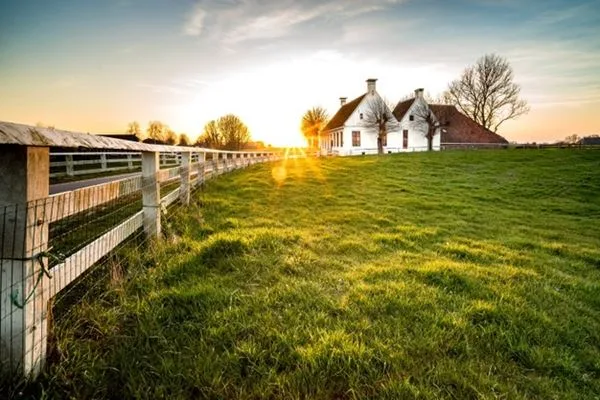 Expansão das fronteiras agrícolas aquece imobiliárias rurais