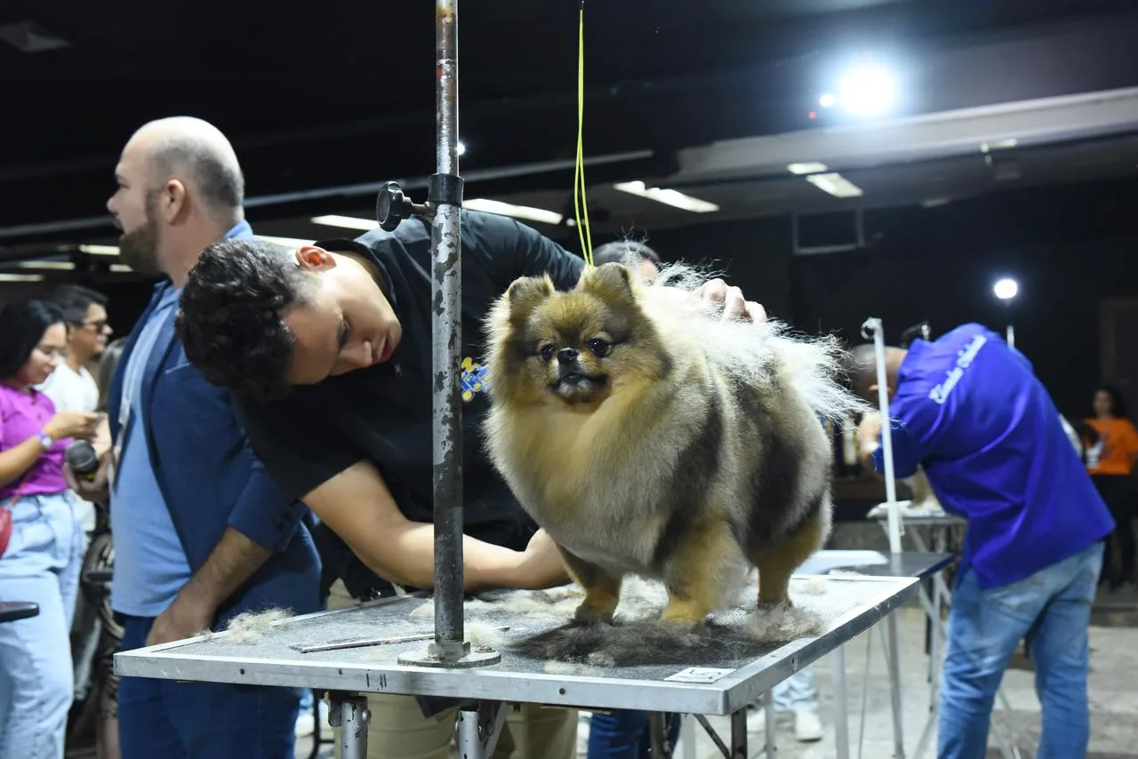 Pet Fair terá concurso de beleza, desfile e feira de adoção na Serra