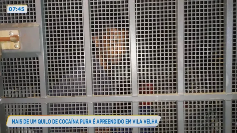 Mais de um quilo de cocaína pura é apreendido em Vila Velha